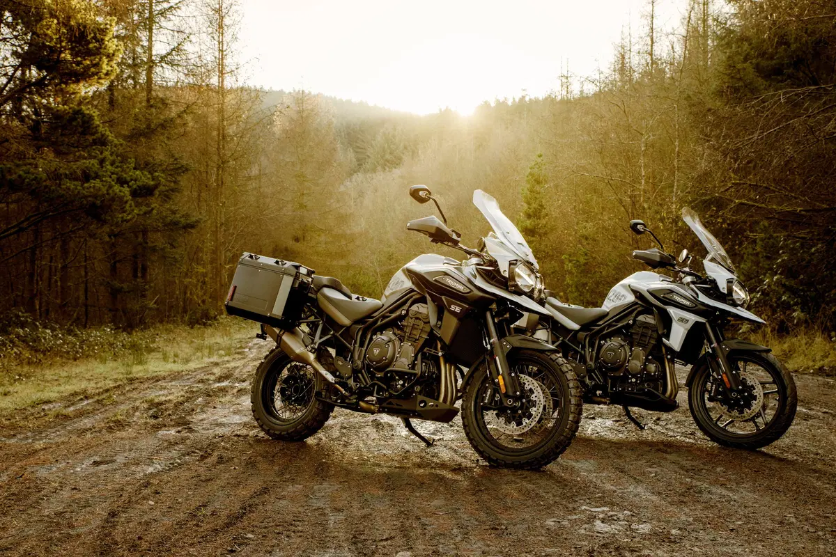Triumph Tiger 1200, le nuove Desert e Alpine Edition 2020 (2)