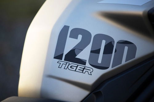 Triumph Tiger 1200, le nuove Desert e Alpine Edition 2020 (6)