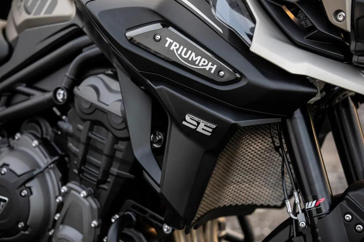Triumph Tiger 1200, le nuove Desert e Alpine Edition 2020 (11)