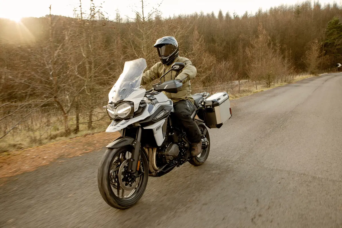 Triumph Tiger 1200, le nuove Desert e Alpine Edition 2020