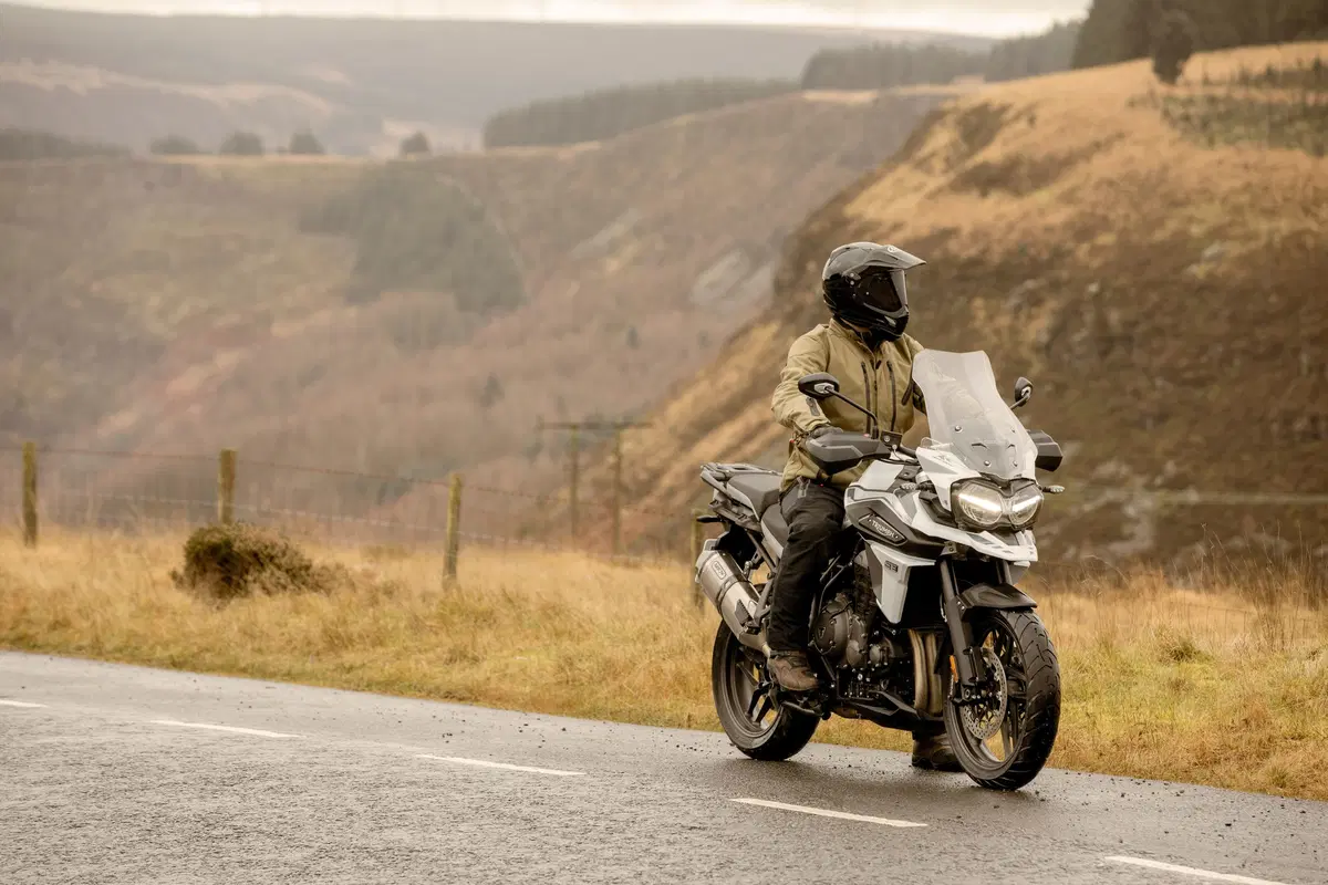 Triumph Tiger 1200, le nuove Desert e Alpine Edition 2020 (2)