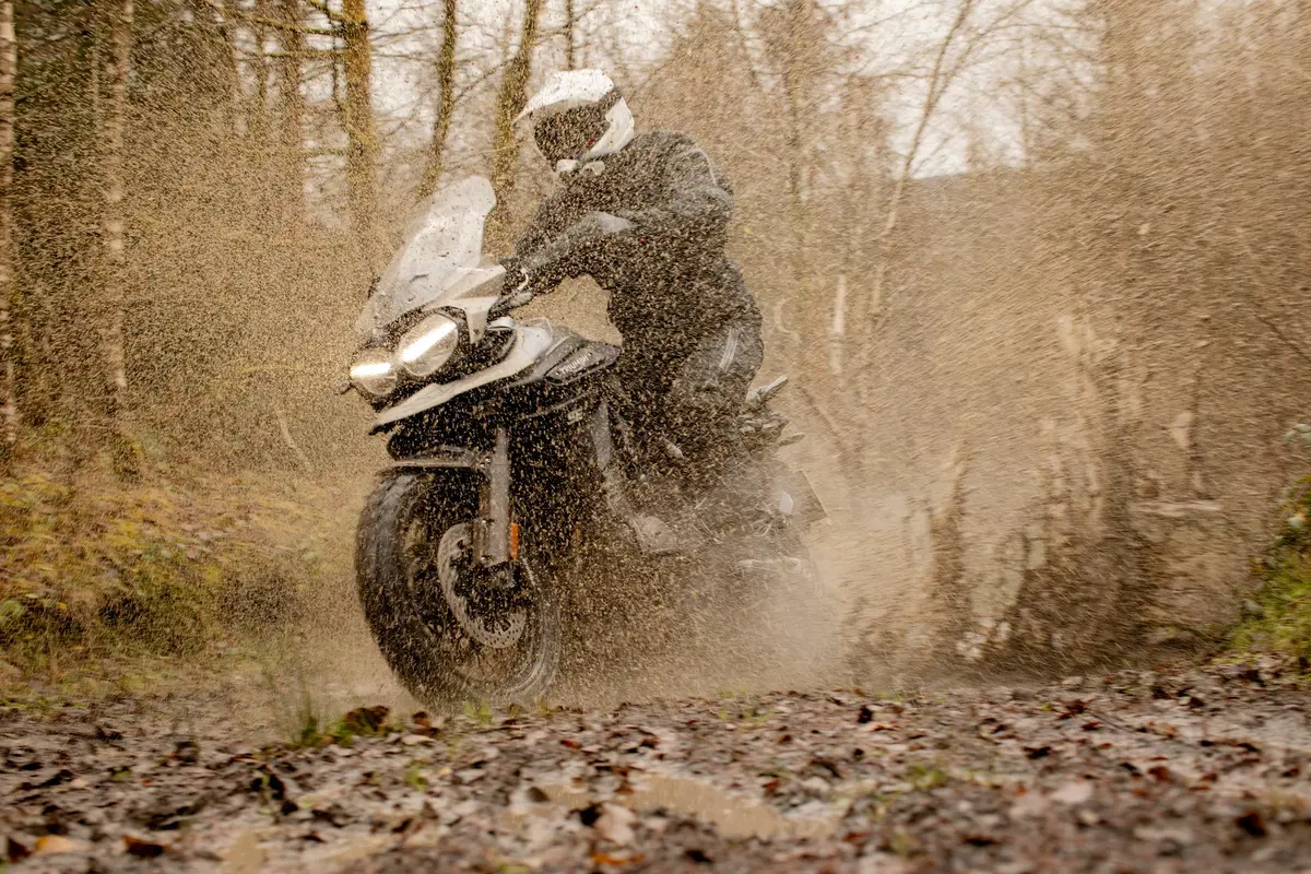 Triumph Tiger 1200, le nuove Desert e Alpine Edition 2020 (2)