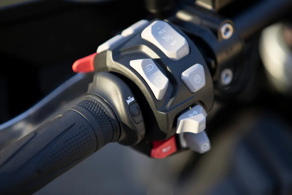 Triumph Tiger 1200 Tiger 1200 Alpine Edition (2020) (6)