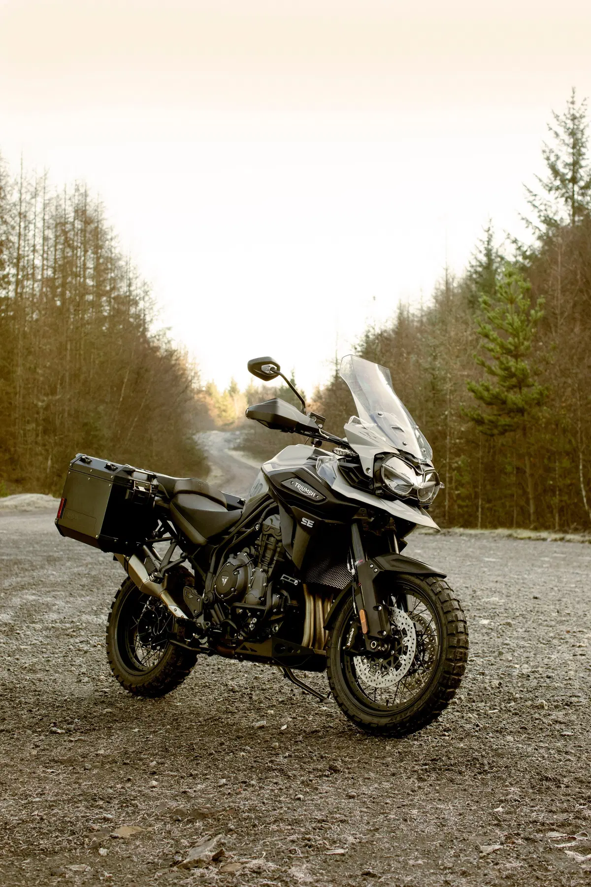 Triumph Tiger 1200 Tiger 1200 Desert Edition (2020) (5)