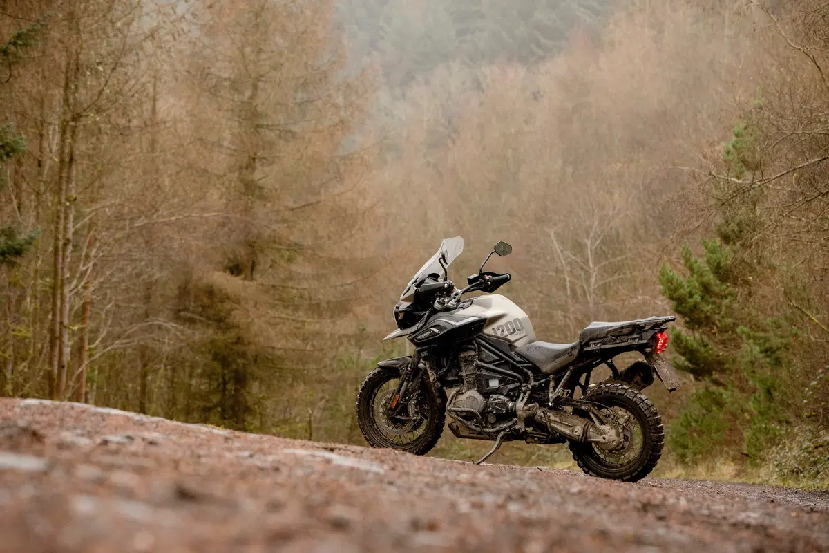 Triumph Tiger 1200 Tiger 1200 Desert Edition (2020) (3)
