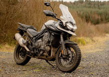 Triumph Tiger 1200 Desert Edition (2020)