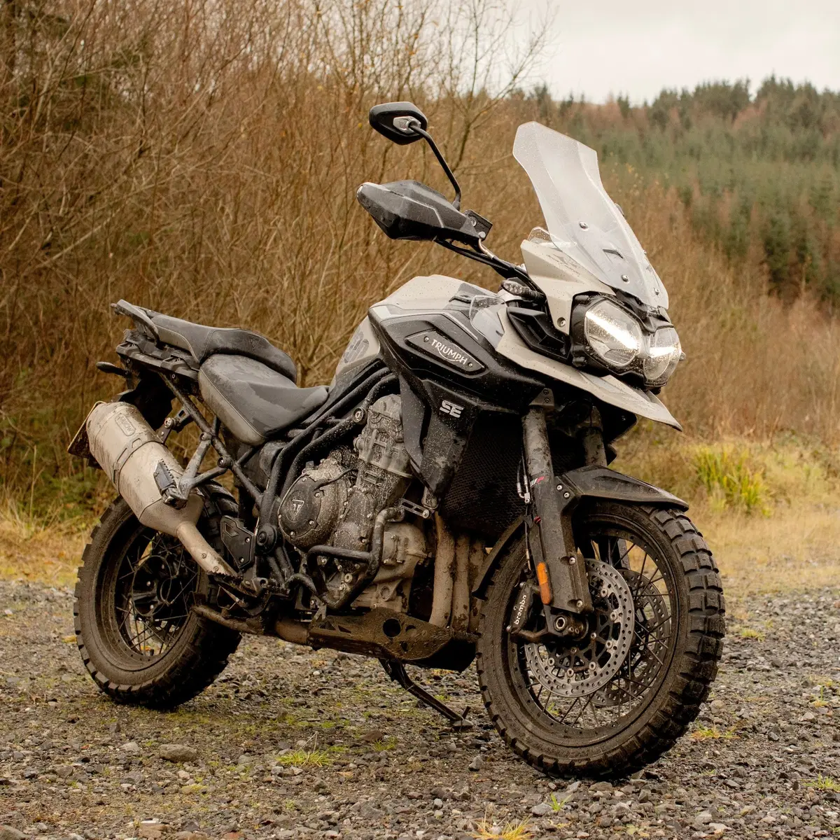 Triumph Tiger 1200 Desert Edition (2020)