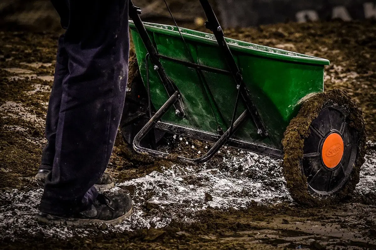 Gallery. Lo spettacolo del Supercross è fuori dalla pista (79)