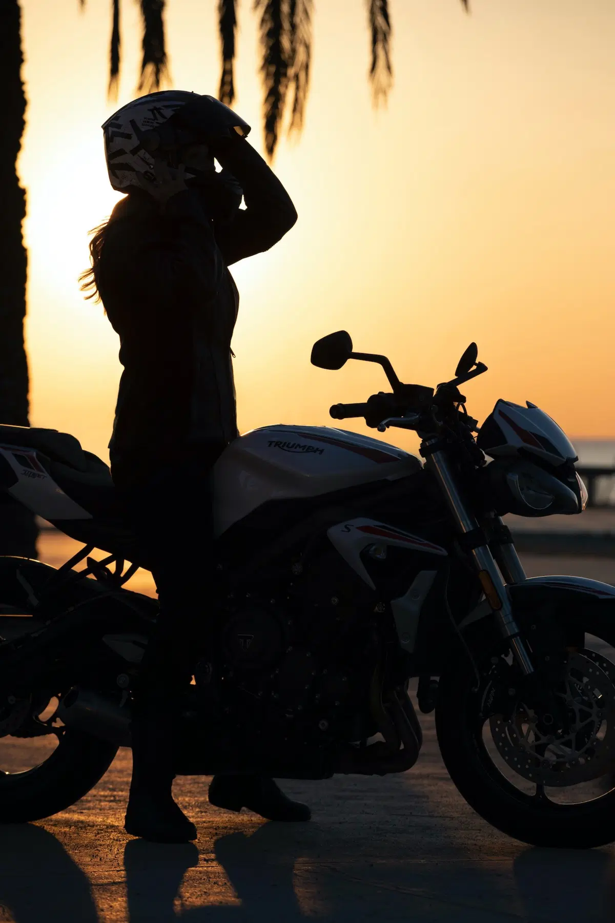 Nuova Triumph Street Triple S 2020 (14)