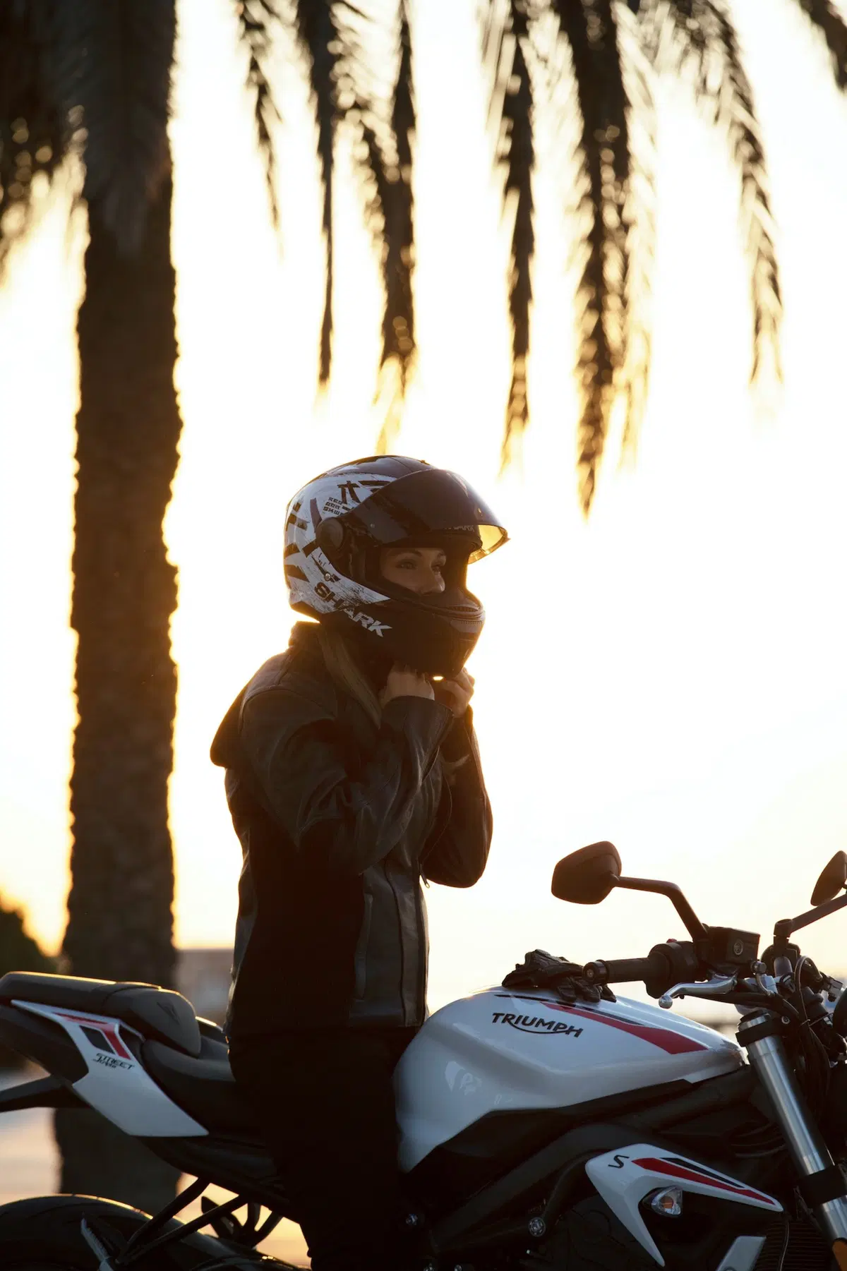 Nuova Triumph Street Triple S 2020 (18)
