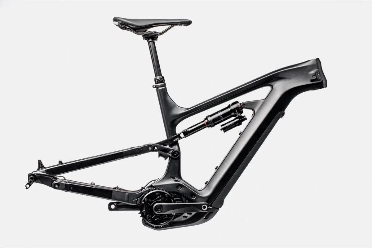 test Cannondale Moterra Neo 1