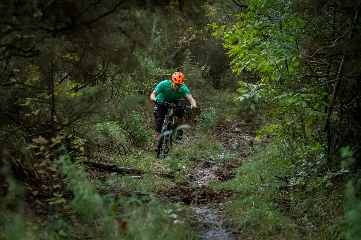 test Cannondale Moterra Neo 1 (3)