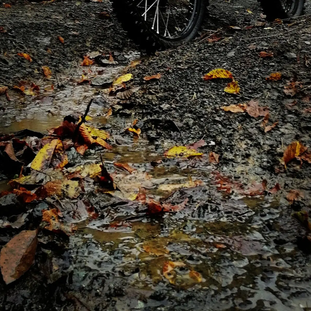 Corso Enduro Republic con Ford: i nostri lettori sono fantastici! (4)