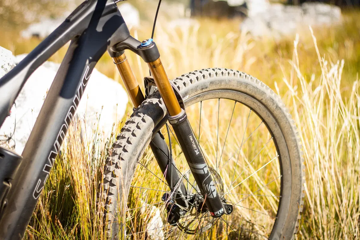 Specialized Turbo Levo SL. Test eBike (16)