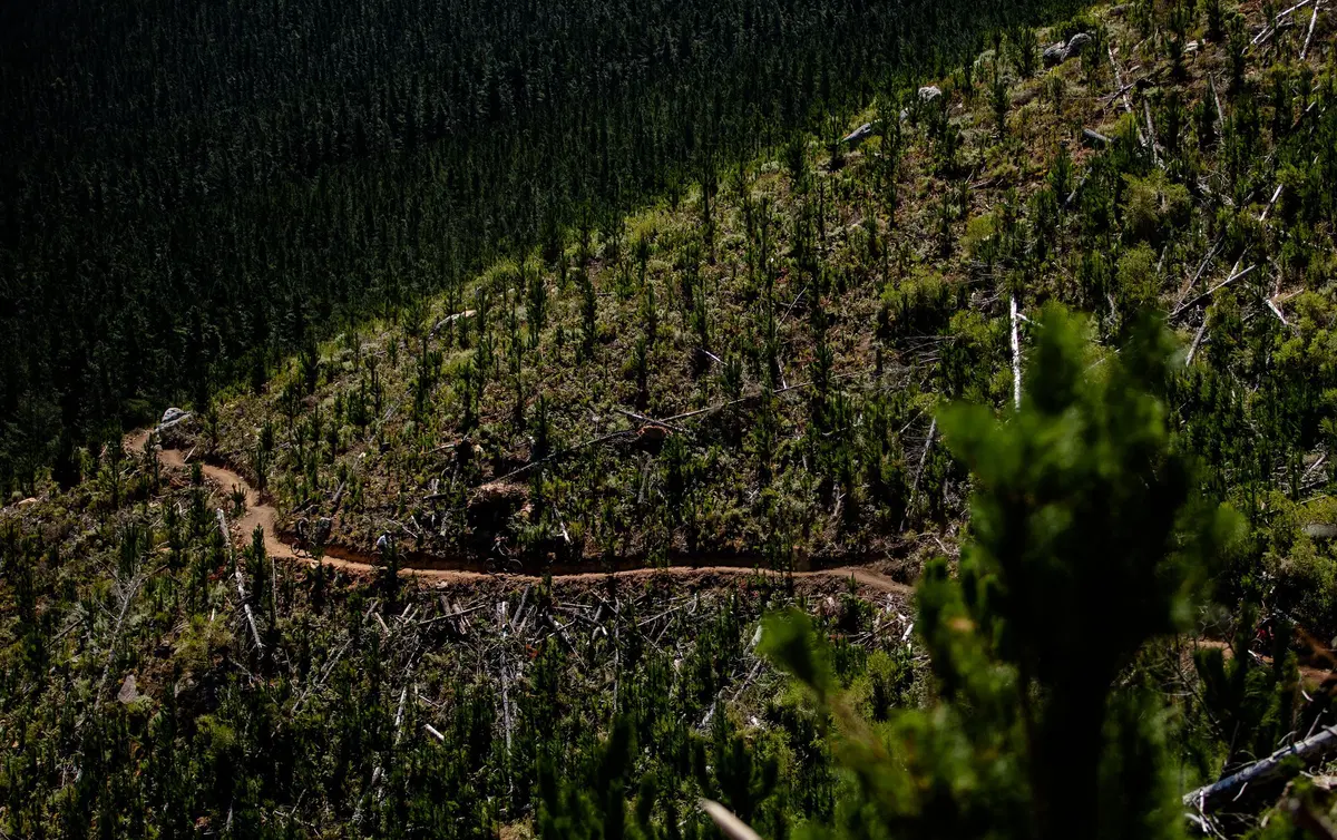 Specialized Turbo Levo SL. Test eBike (17)