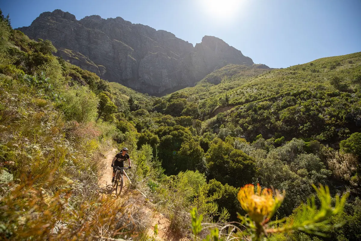 Specialized Turbo Levo SL. Test eBike (19)