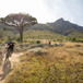 Specialized Turbo Levo SL. Test eBike in Sudafrica