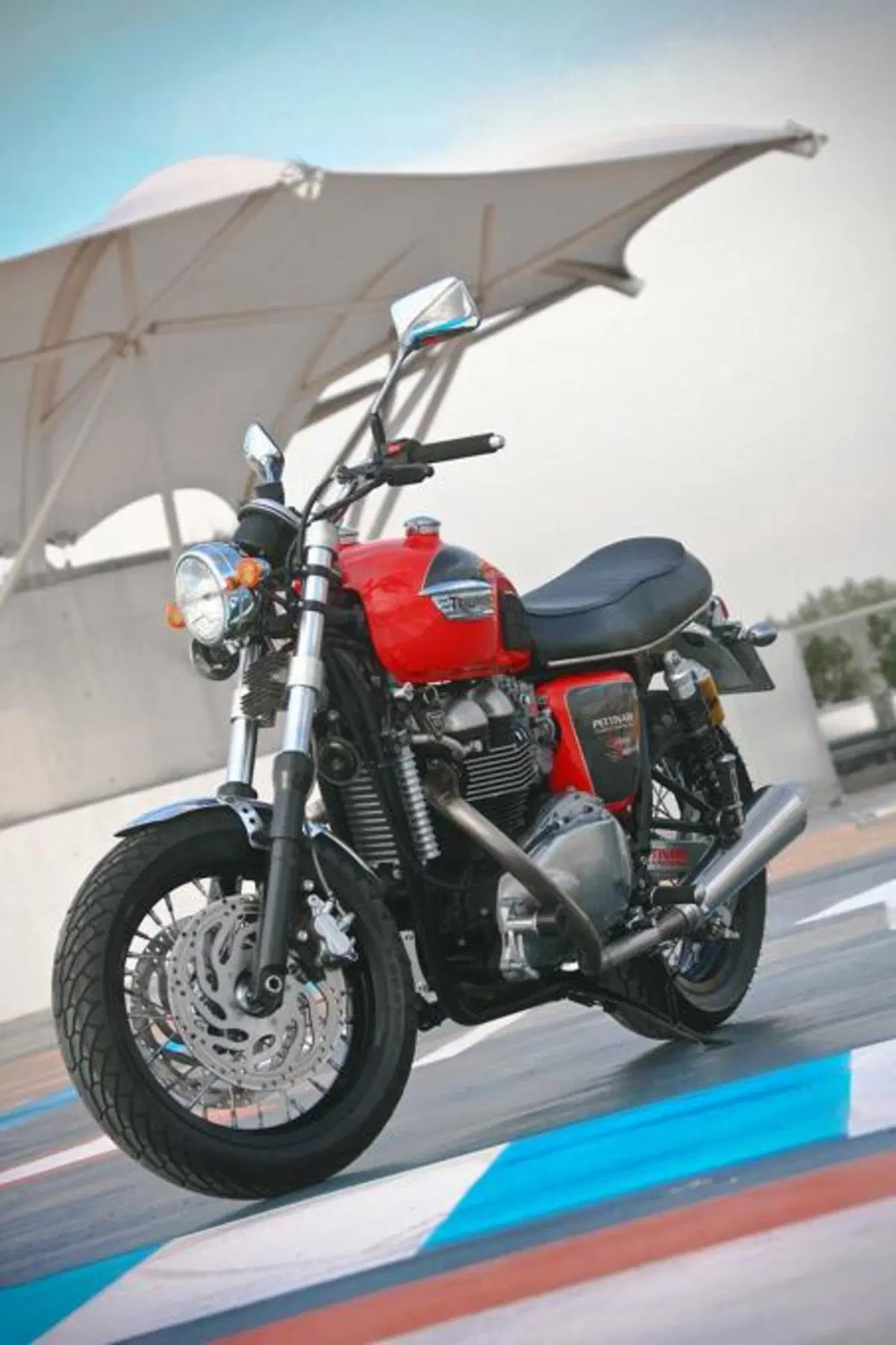 Triumph Bonnie Lighteen by Pettinari (3)