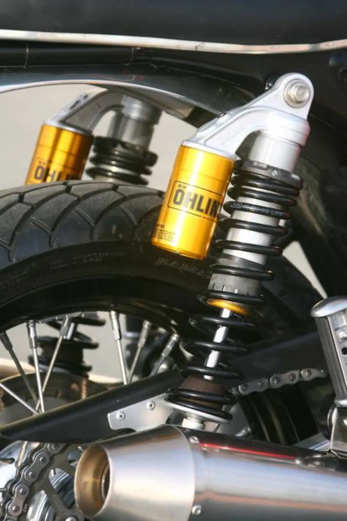 Triumph Bonnie Lighteen by Pettinari (10)