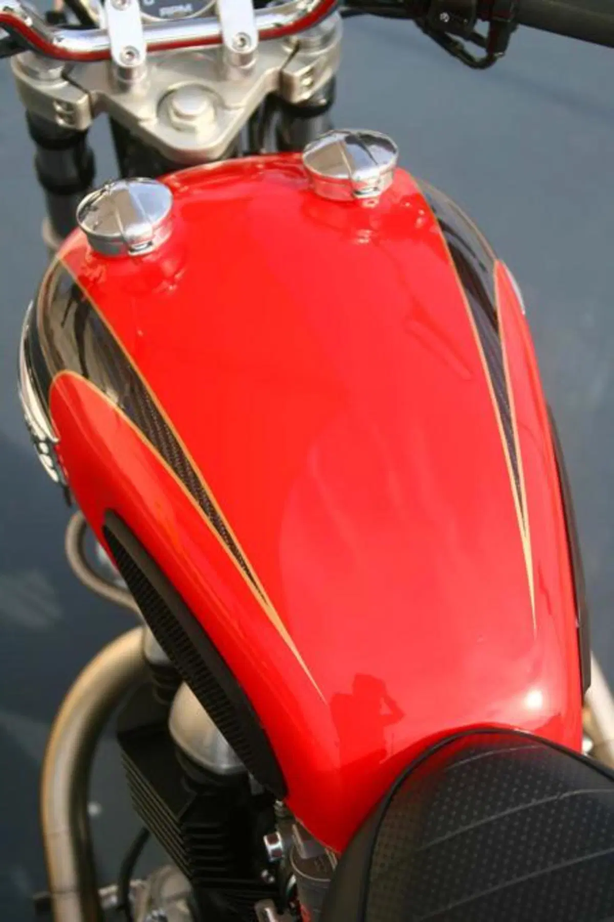 Triumph Bonnie Lighteen by Pettinari (13)