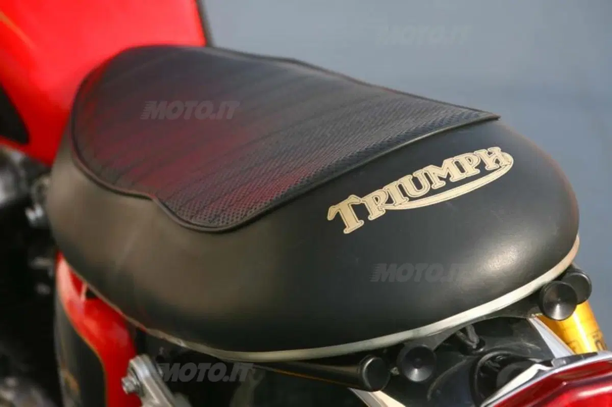 Triumph Bonnie Lighteen by Pettinari (19)