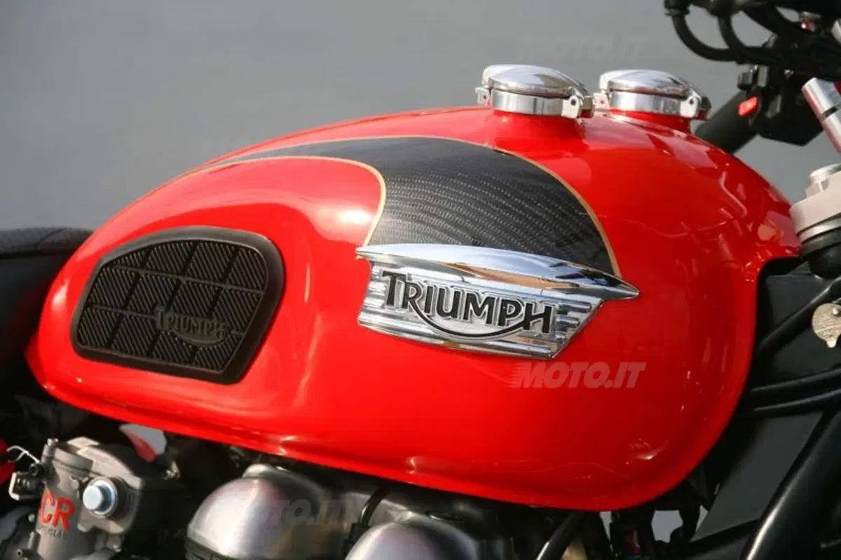 Triumph Bonnie Lighteen by Pettinari (21)