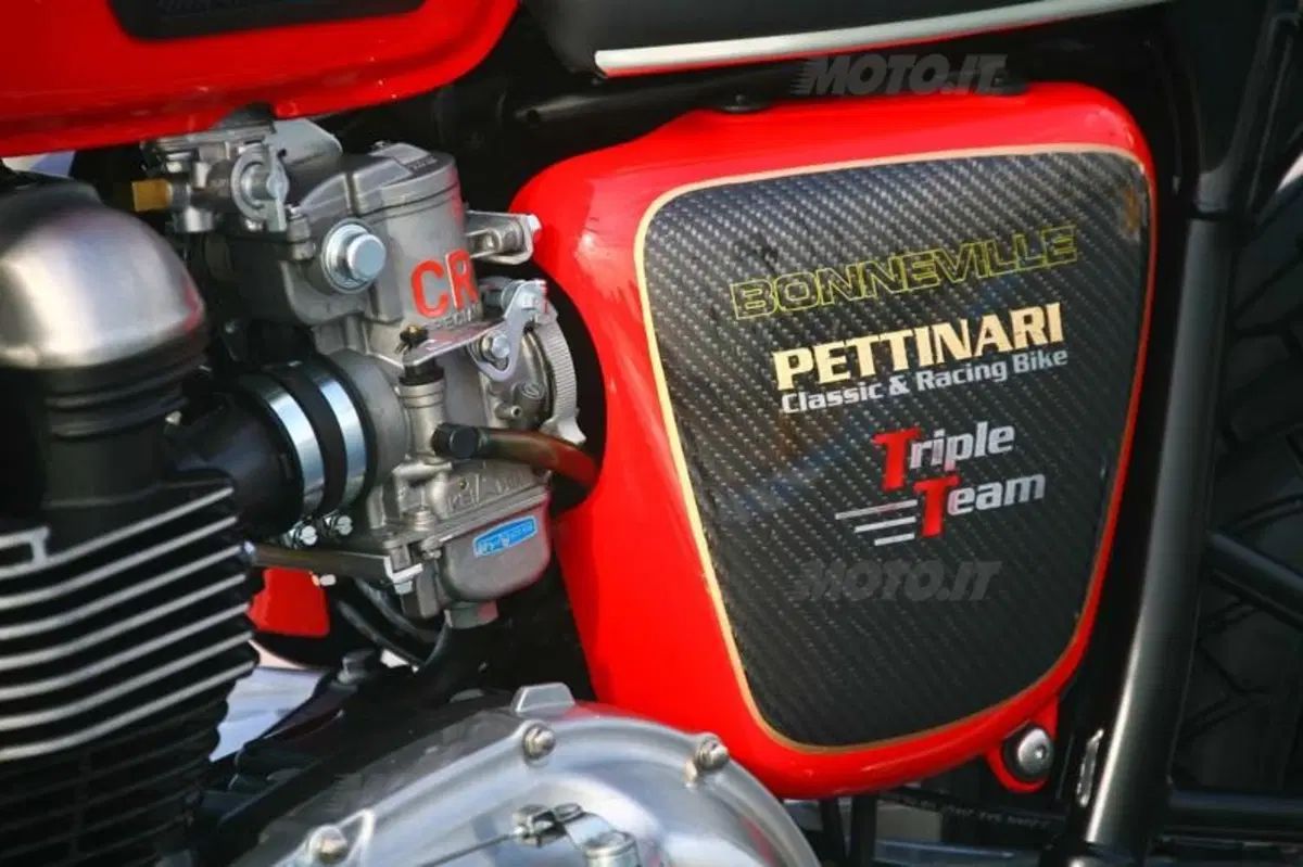 Triumph Bonnie Lighteen by Pettinari (24)