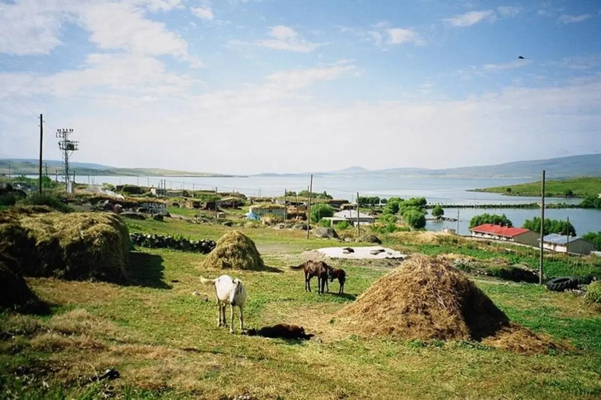 Viaggi. Alla scoperta della Turchia (10)