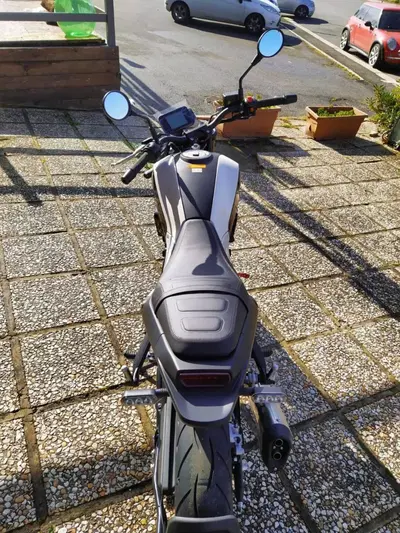 Benelli Leoncino 250 (2019 - 20) nuova