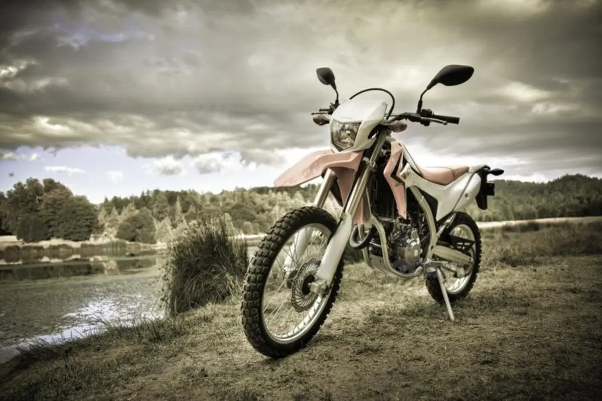 La Honda CRF250L arriverà anche in Europa (23)