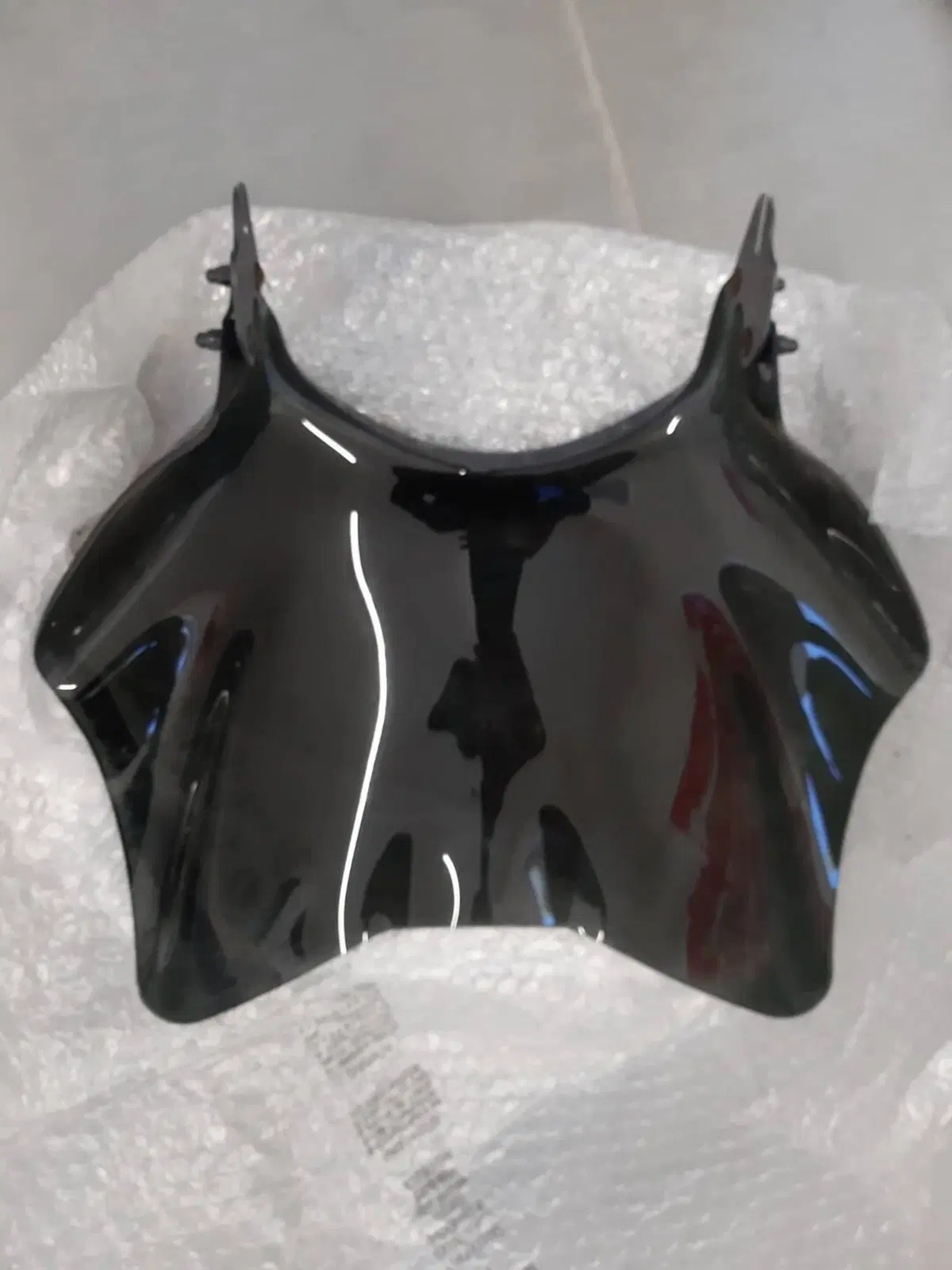 Cupolino Triumph Thunderbird 900 Motopoint Racing (2)