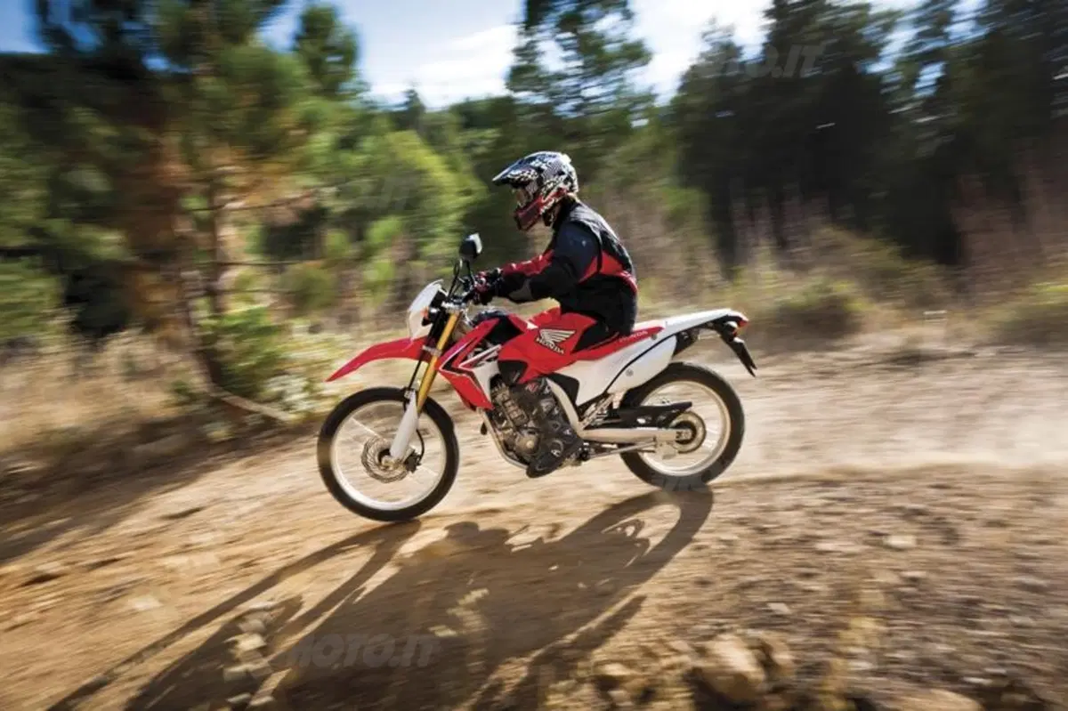 La Honda CRF250L arriverà anche in Europa (24)