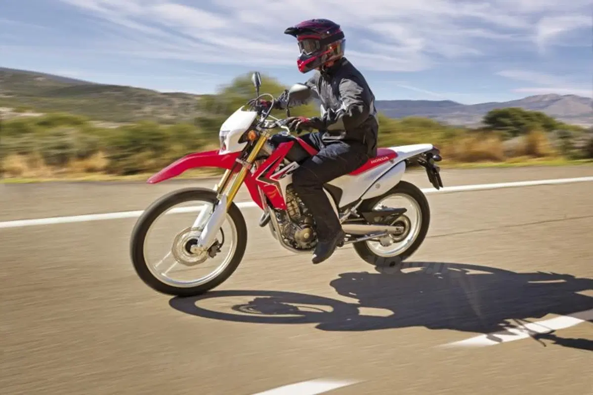 La Honda CRF250L arriverà anche in Europa (25)