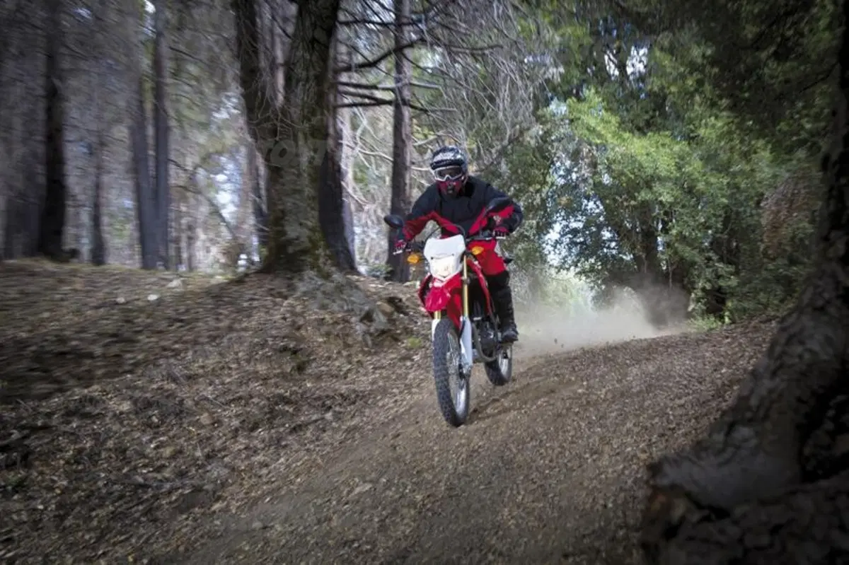 La Honda CRF250L arriverà anche in Europa (30)