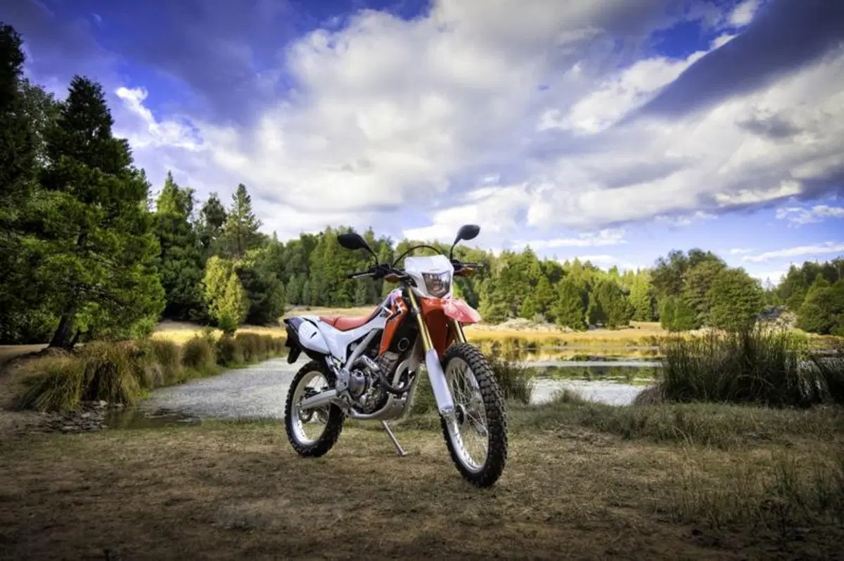 La Honda CRF250L arriverà anche in Europa (34)