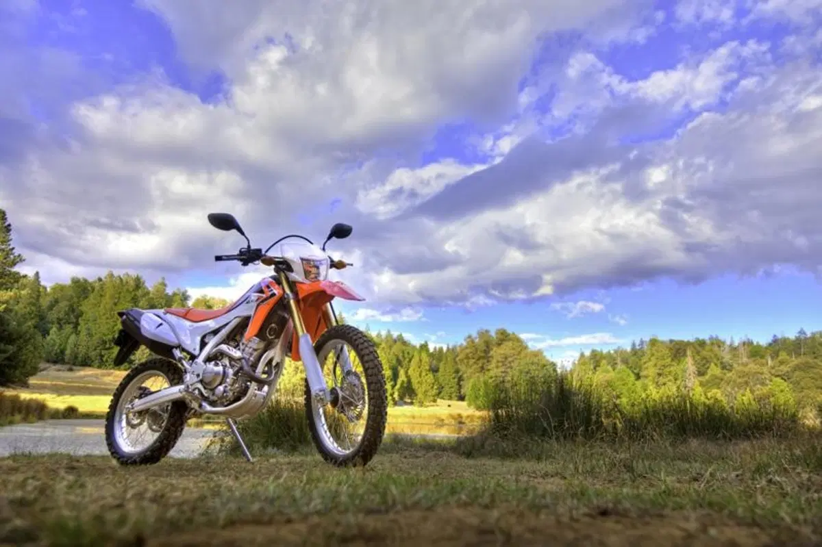 La Honda CRF250L arriverà anche in Europa (45)