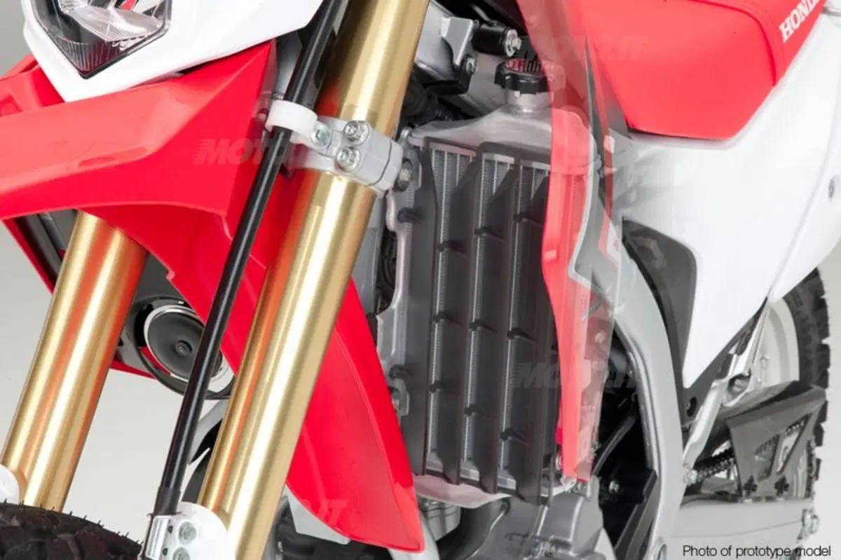 La Honda CRF250L arriverà anche in Europa (48)