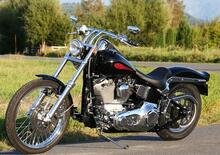 Harley Davidson: torna la Softail Standard