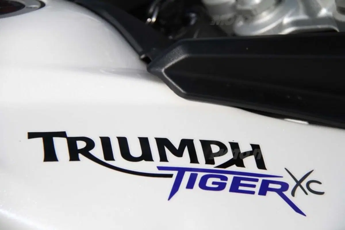 BMW F 800 GS versus Triumph Tiger 800 XC  (70)