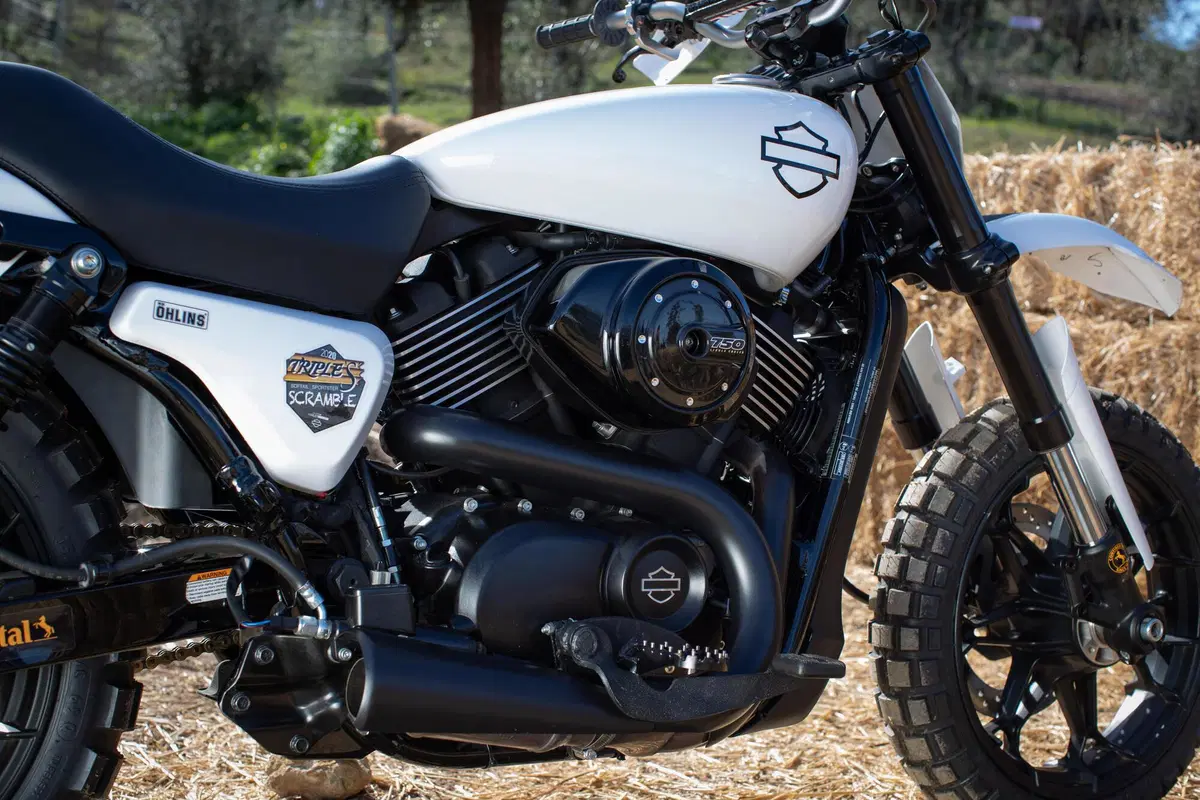 Harley-Davidson XG 750 Scramble e Hill Climb (3)