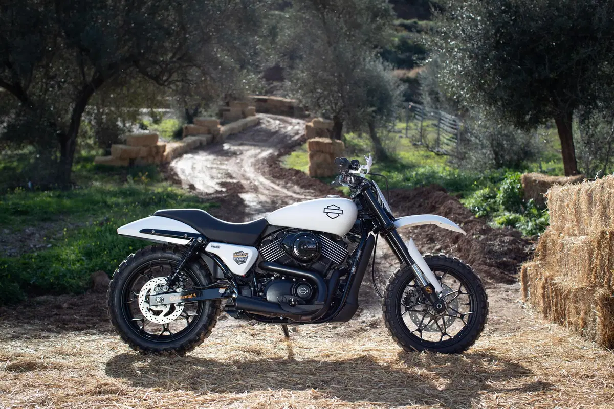 Harley-Davidson XG 750 Scramble e Hill Climb (4)