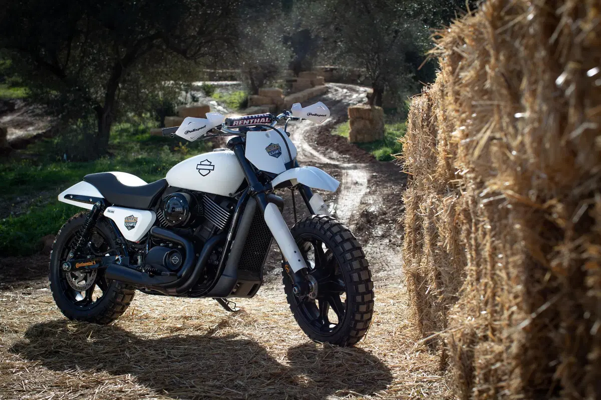 Harley-Davidson XG 750 Scramble e Hill Climb (7)