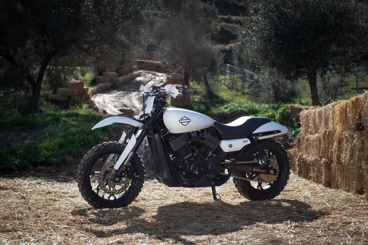 Harley-Davidson XG 750 Scramble e Hill Climb (11)
