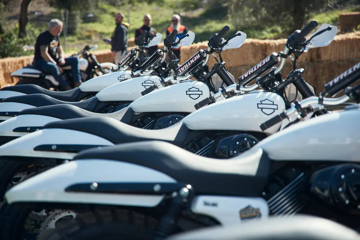 Harley-Davidson XG 750 Scramble e Hill Climb (23)
