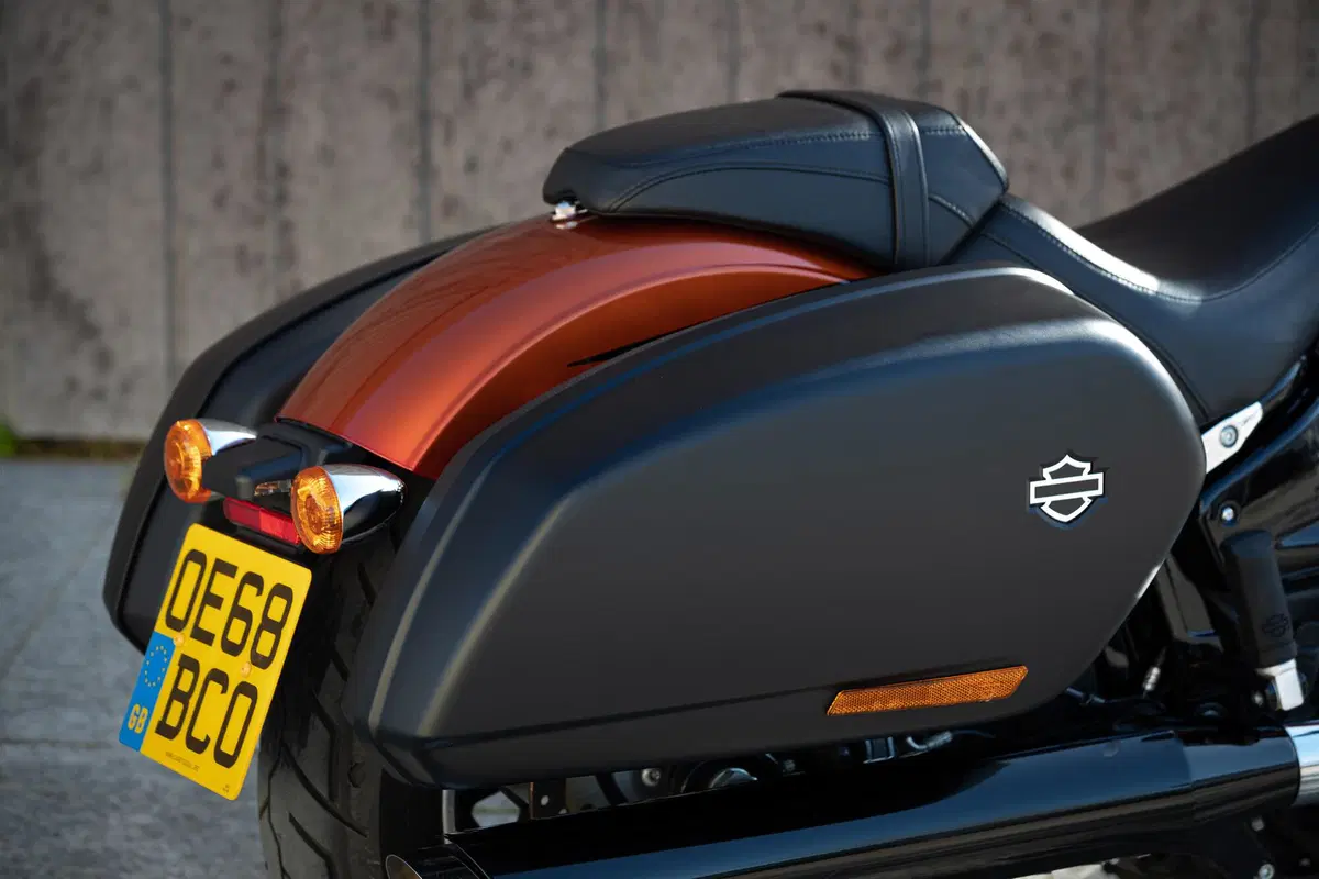 Harley Davidson Sport Glide (10)