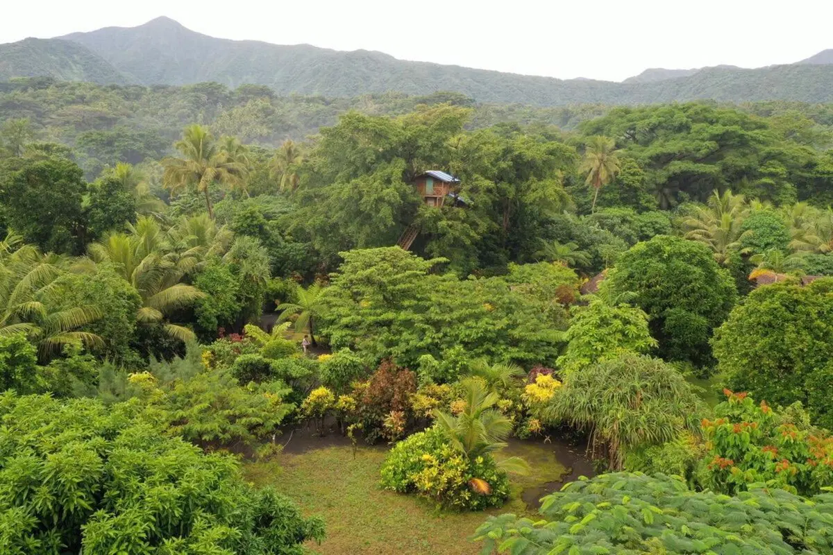 Vanuatu: con un quad in paradiso (10)