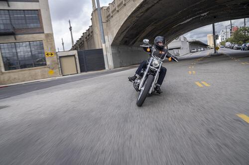 Nuova Harley Davidson Softail Standard 2020 (3)