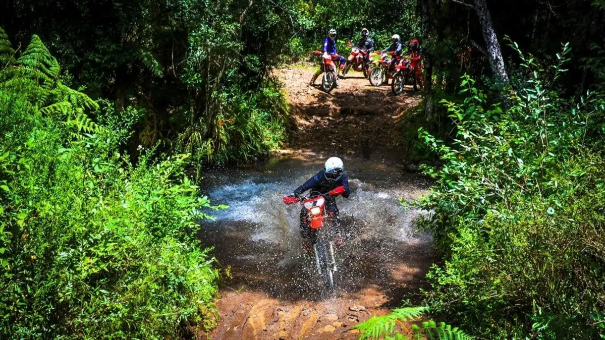Borilli Racing – Part 2: L’escalation! (28)