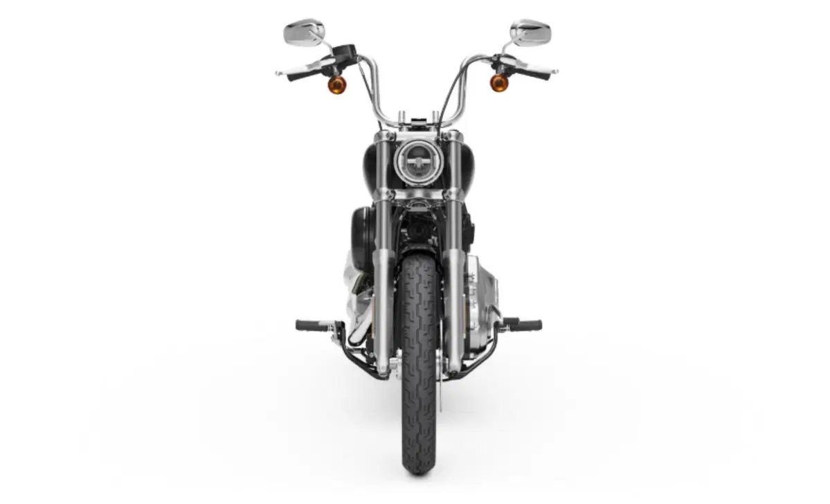 Harley-Davidson Softail Softail Standard (2020) - FXST (3)