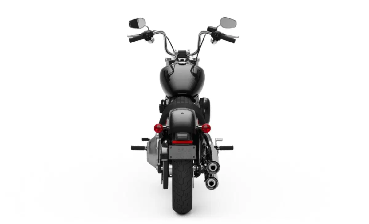 Harley-Davidson Softail Softail Standard (2020) - FXST (7)